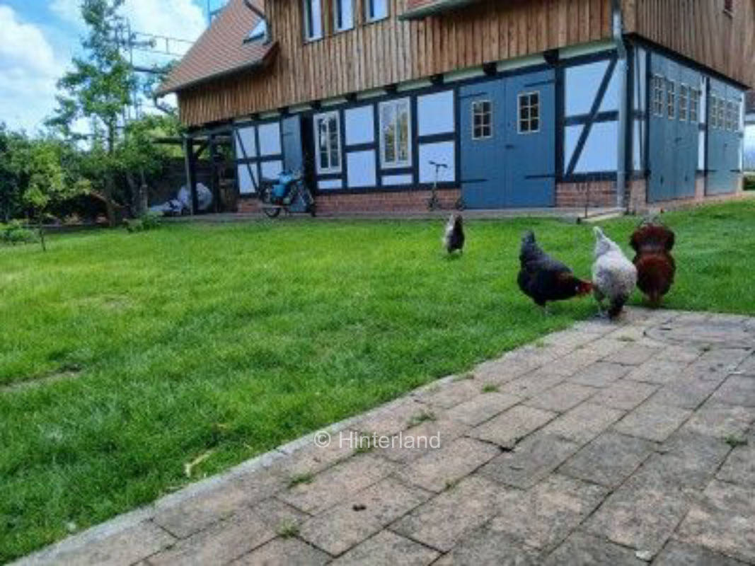 Wiese mit Kleintiergesellschaft