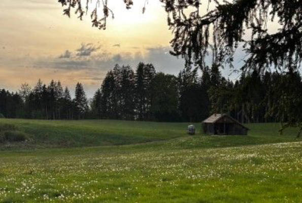 Stellplatz in der Nähe unseres Biobauernhofs      