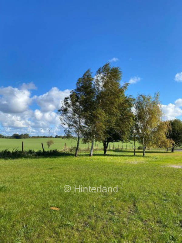 Fantastic natural plot near water