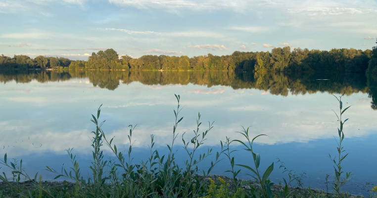 Green Meadow by the Lake III