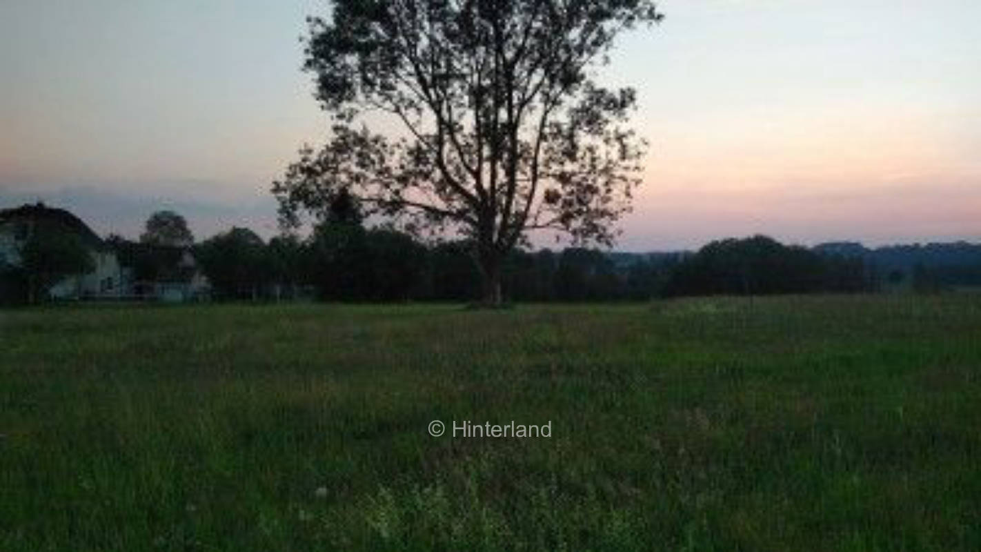 Wiese + Parkplatz im Aussenbereich mit Aussicht