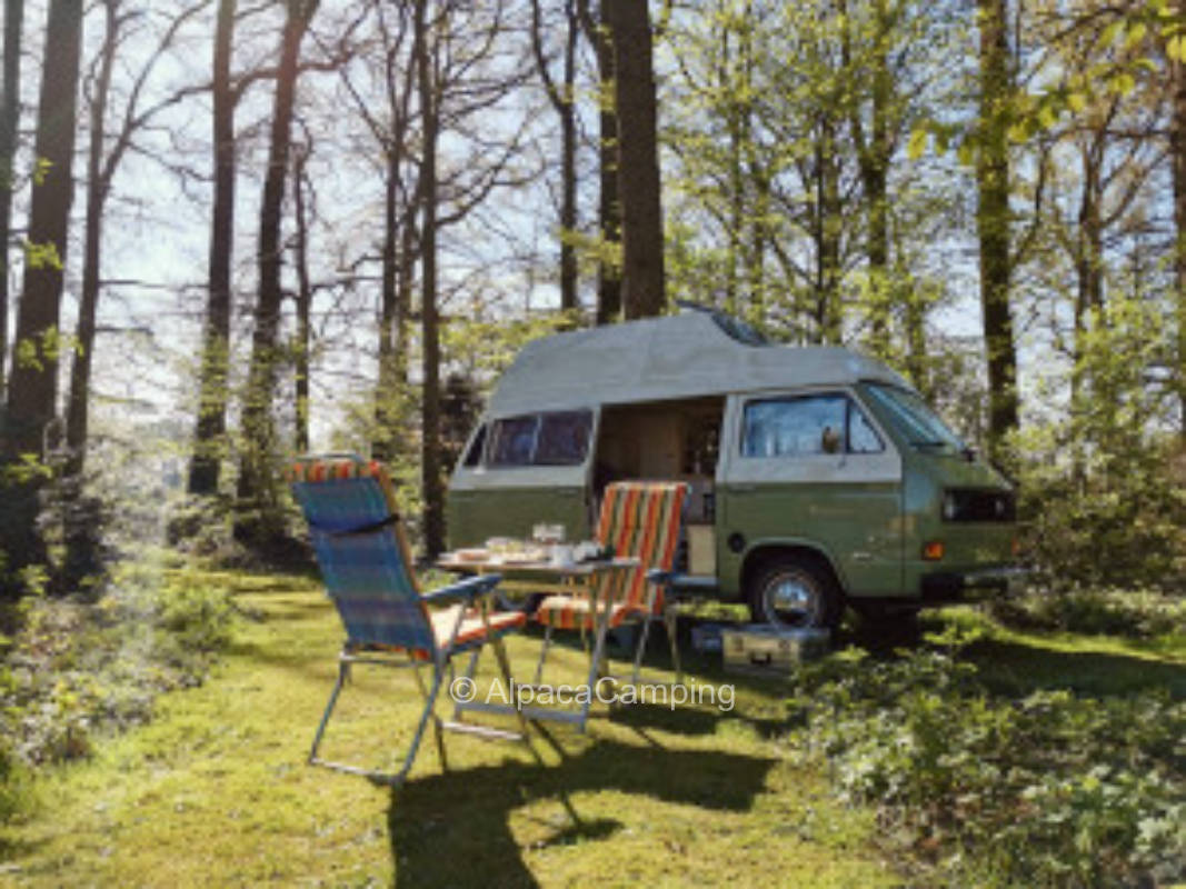 Campen wo andere Urlaub machen...... #1