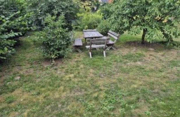 Idyllic camping spot in the garden in Potsdam