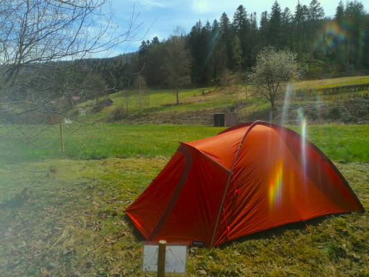 Wieseneckle am bach mitten im nationalpark