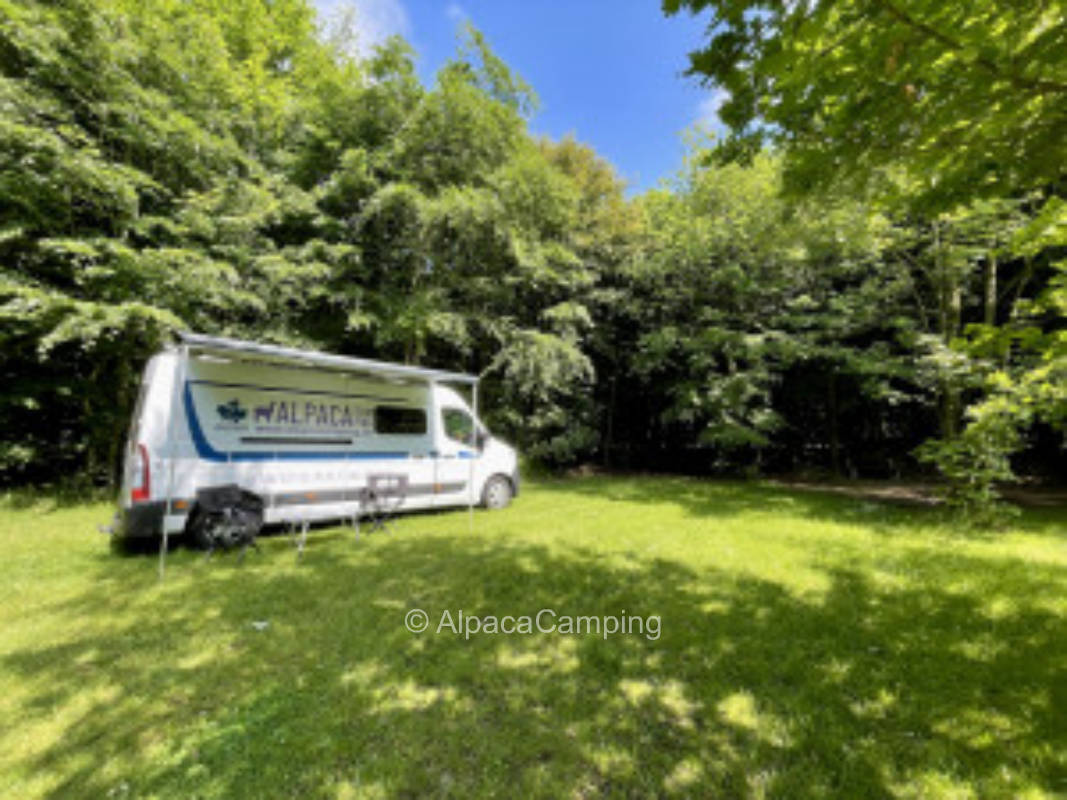 Laubwaldvergnügen #3