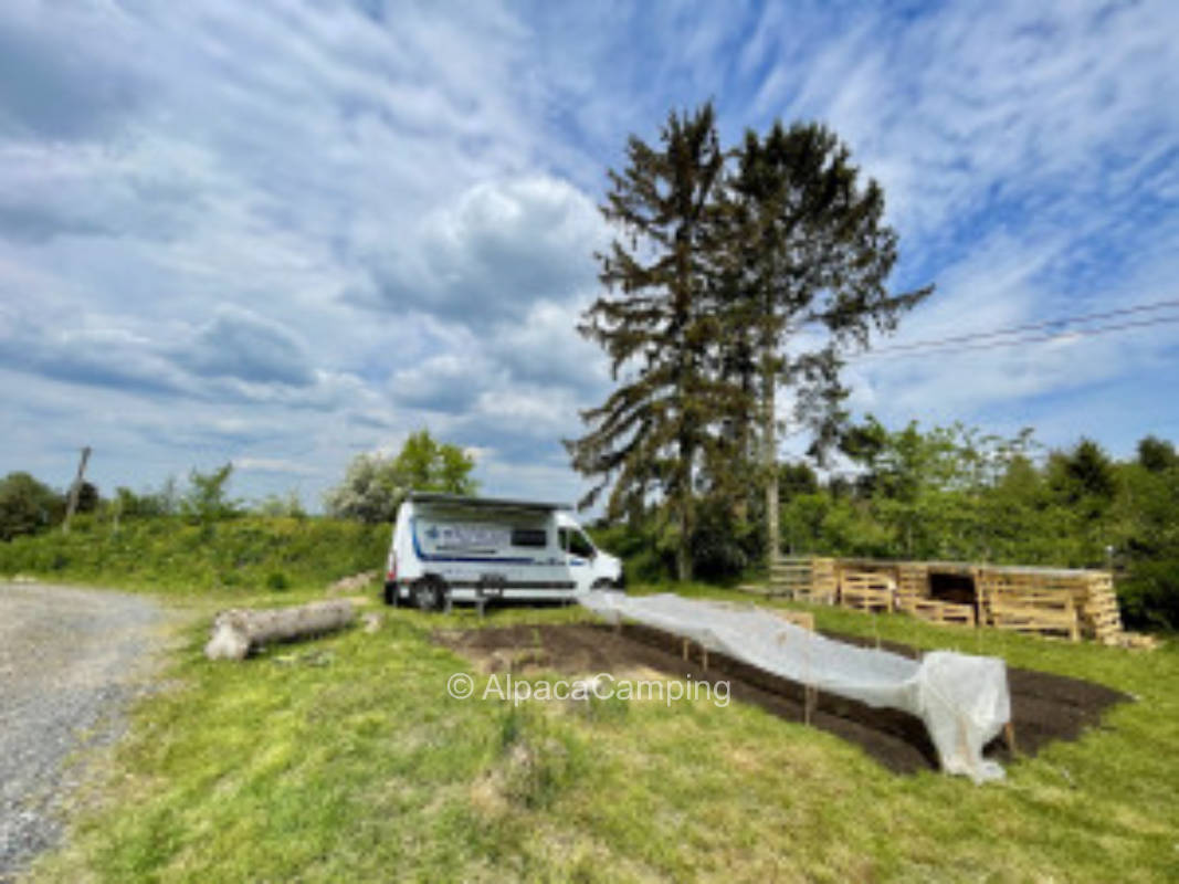 Grüner Stellplatz mit Sicht auf das Siebengebirge #2