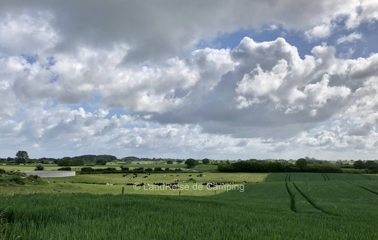 Pitch at the edge of the field on the farm Wöhlk