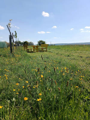 Eisenbahn trifft landromantik