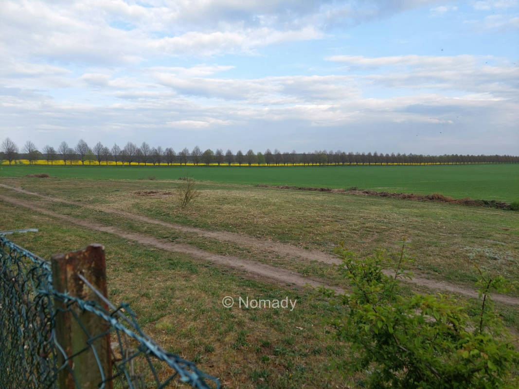 Natur Pur in Mecklenburg-Vorpommern