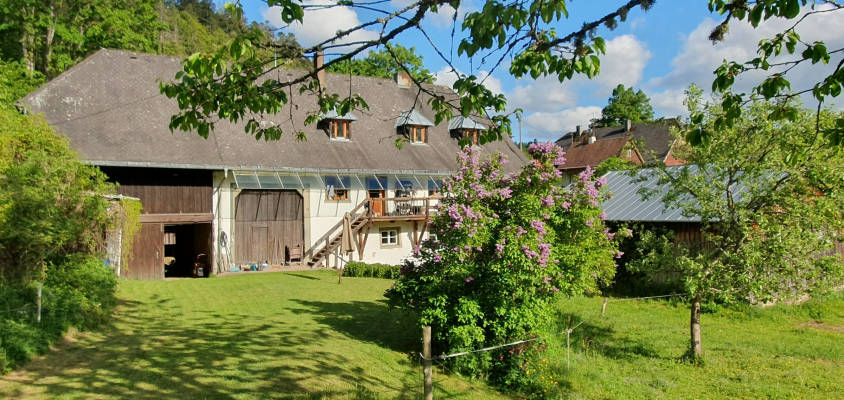Camp fur radlerinnen und wanderfreundinnen