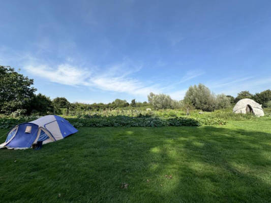 Camping in nature (Campspace 465)