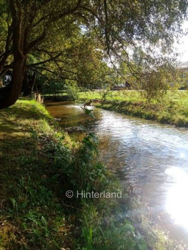 Ehemalige Forellenzuchtanlage im Südharz