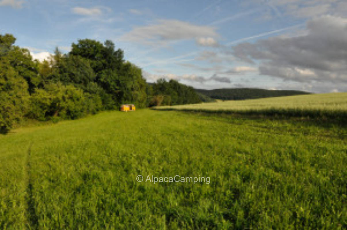 Pitch on the orchard with a view of the surroundings