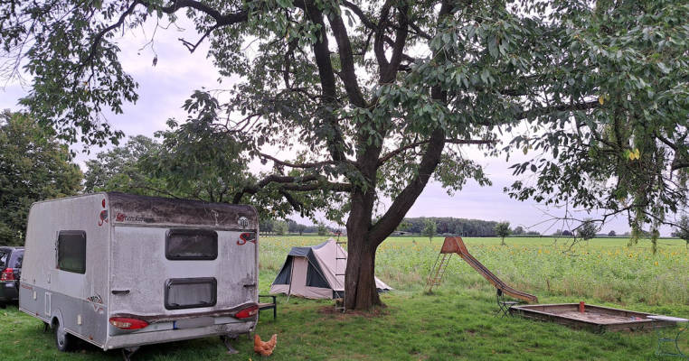 Wiese unterm Kirschbaum mit Blick in die Felder