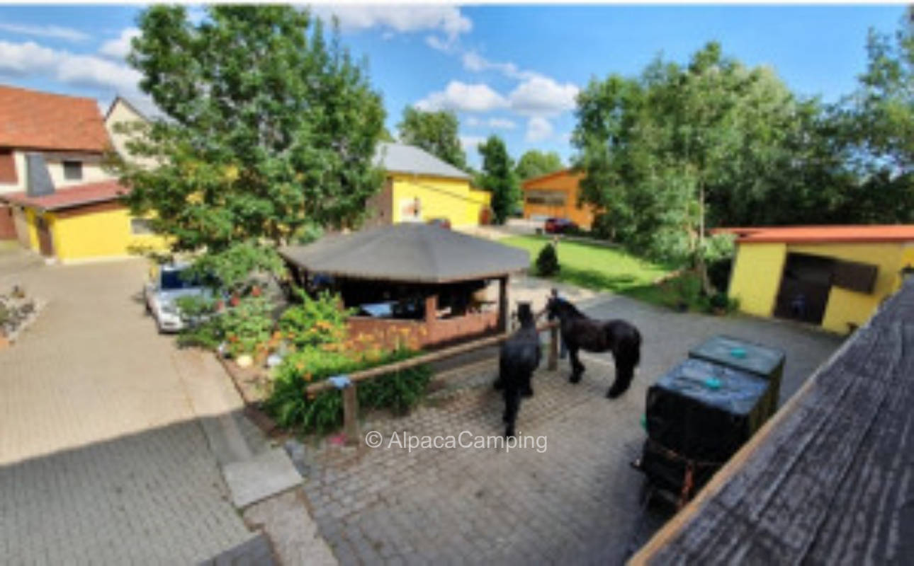 At the horse farm #1