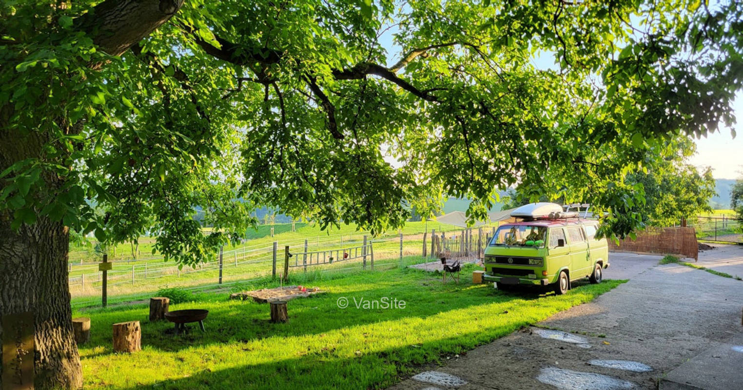 Under the walnut tree