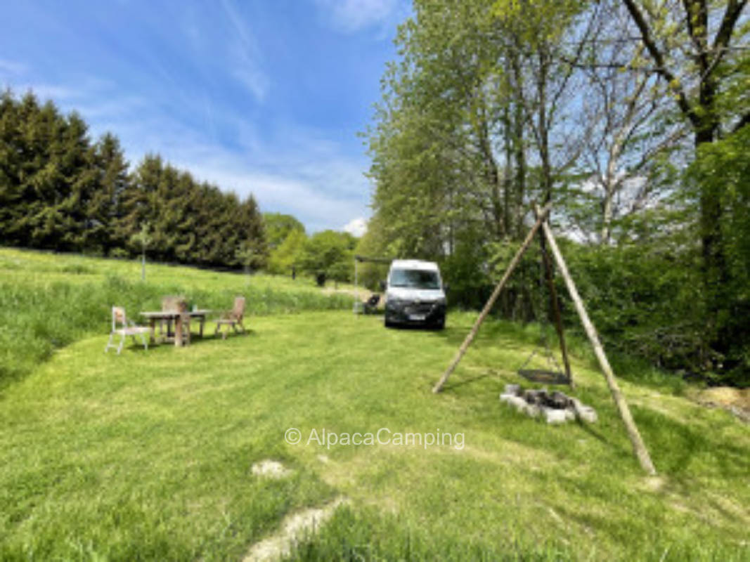 Wunderschöner Campingort auf einer saftig grünen Wiese neben einem Wald