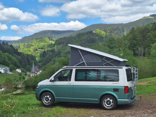 Wilderness camp Black Forest