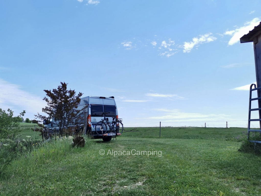 AlpacaCamping 5293