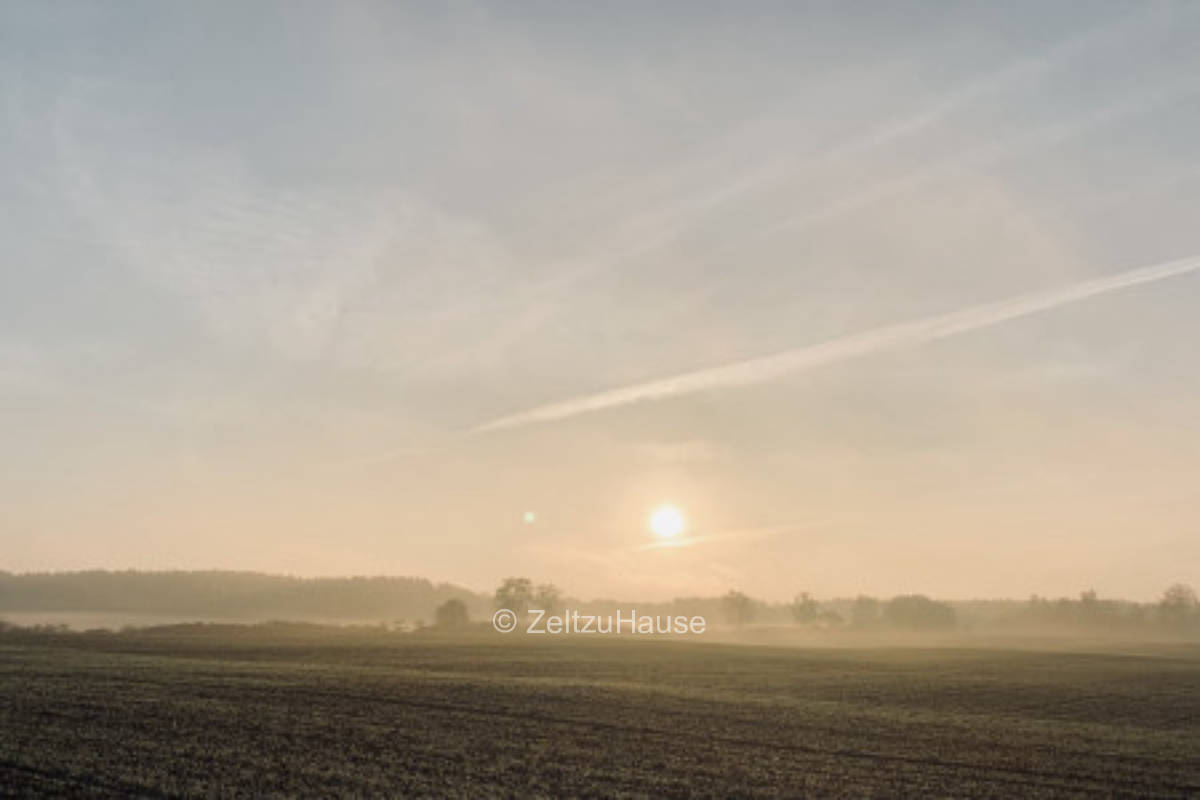 dreamy meadow in the Uckermark region