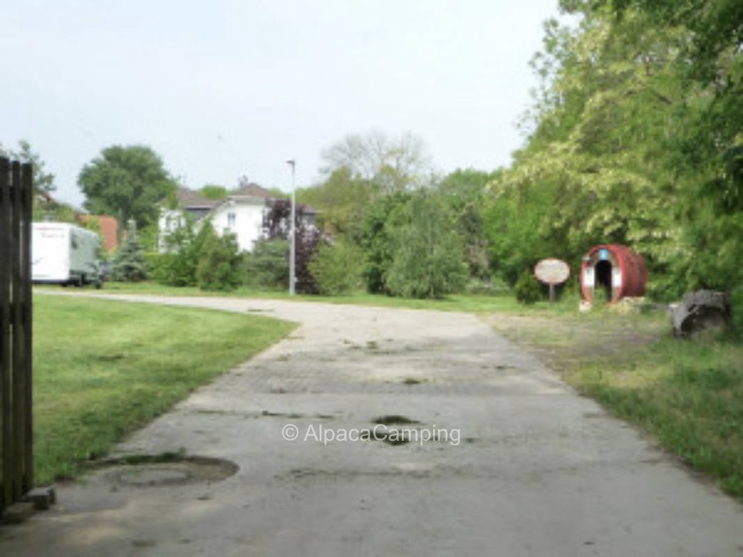 Ruhiger Rasenplatz an der Pfrimm #1