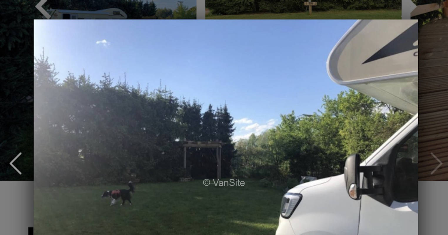 Luisencamp in Schlossnähe