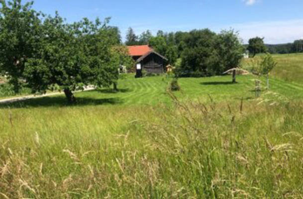 Camping auf dem denkmalgeschützter Hof 