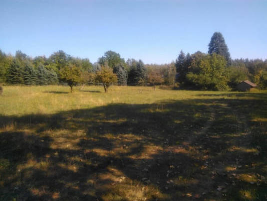 Campspace in Medingen, Saxony