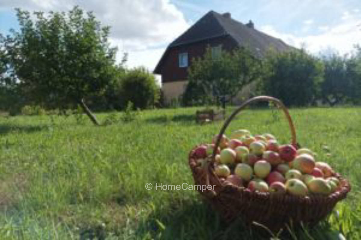 Private place in Penzlin