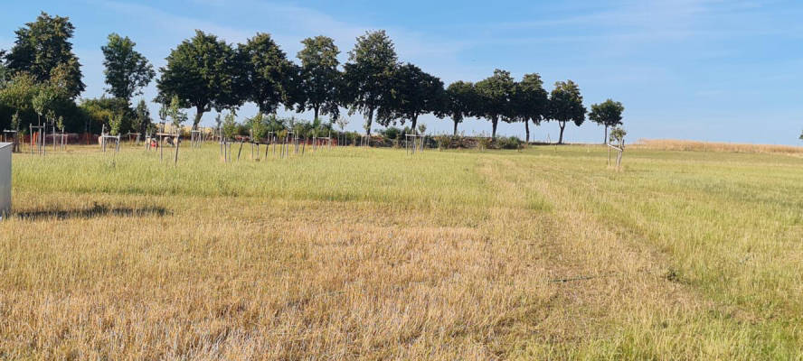 privater Stellplatz (Campspace 9302)