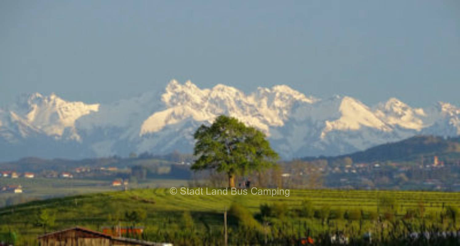 Alpenblick Eins