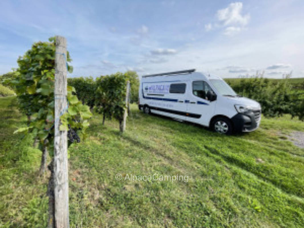 Am Weingut in Brackenheim #1