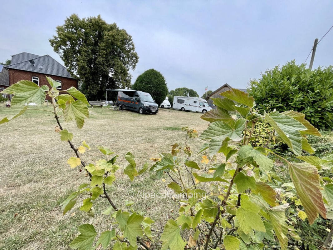 AlpacaCamping 6418