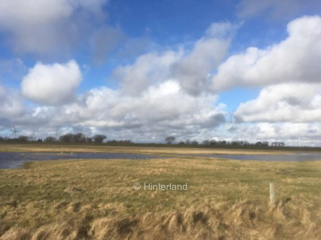 Erholung hinter dem Deich an der Nordsee