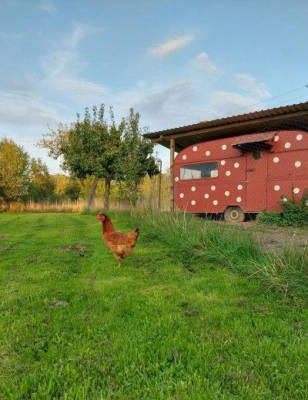 Villa Wölkchen - Camping on the Fruit Orchard Meadow