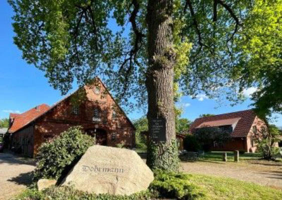 Camping in a peaceful location with meadow and pasture views