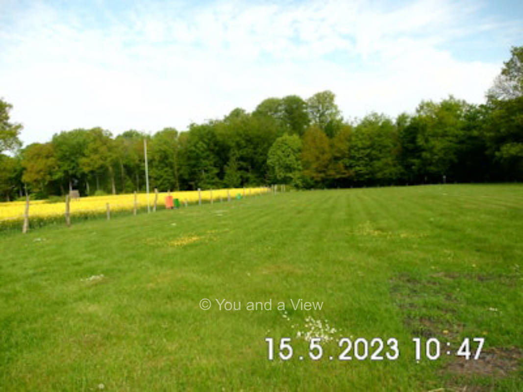 Hinterm Wald