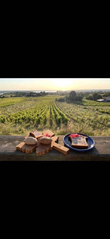 Dégustation & Nuit en Plein Cœur des Vignes