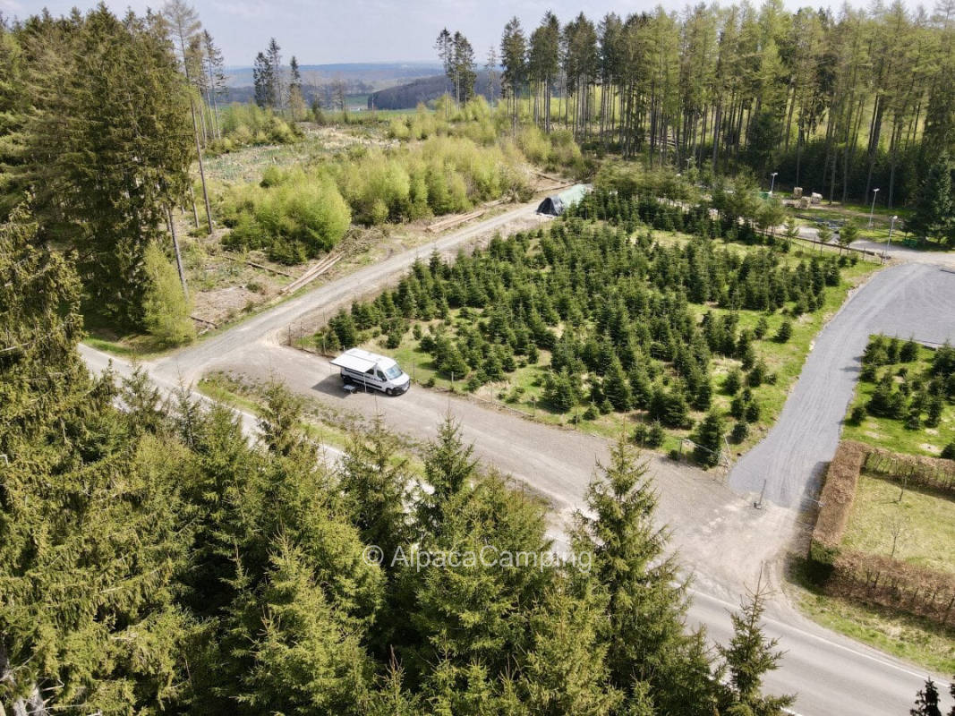 Surrounded by forests #1