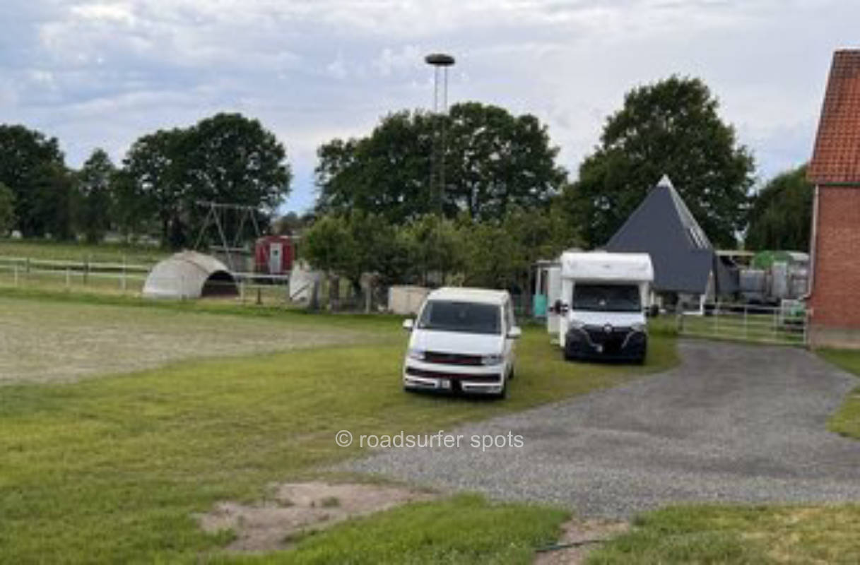 Poitou Eselweide Camping am Steinhuder Meer