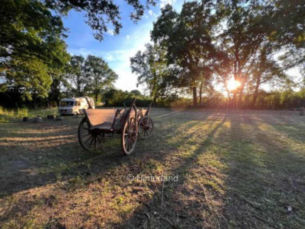 Peaceful time out & riding vacations at the Unicorn Farm