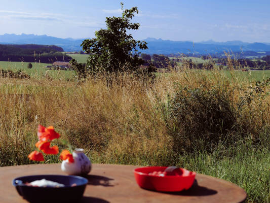 Natural oasis with mountain view 2