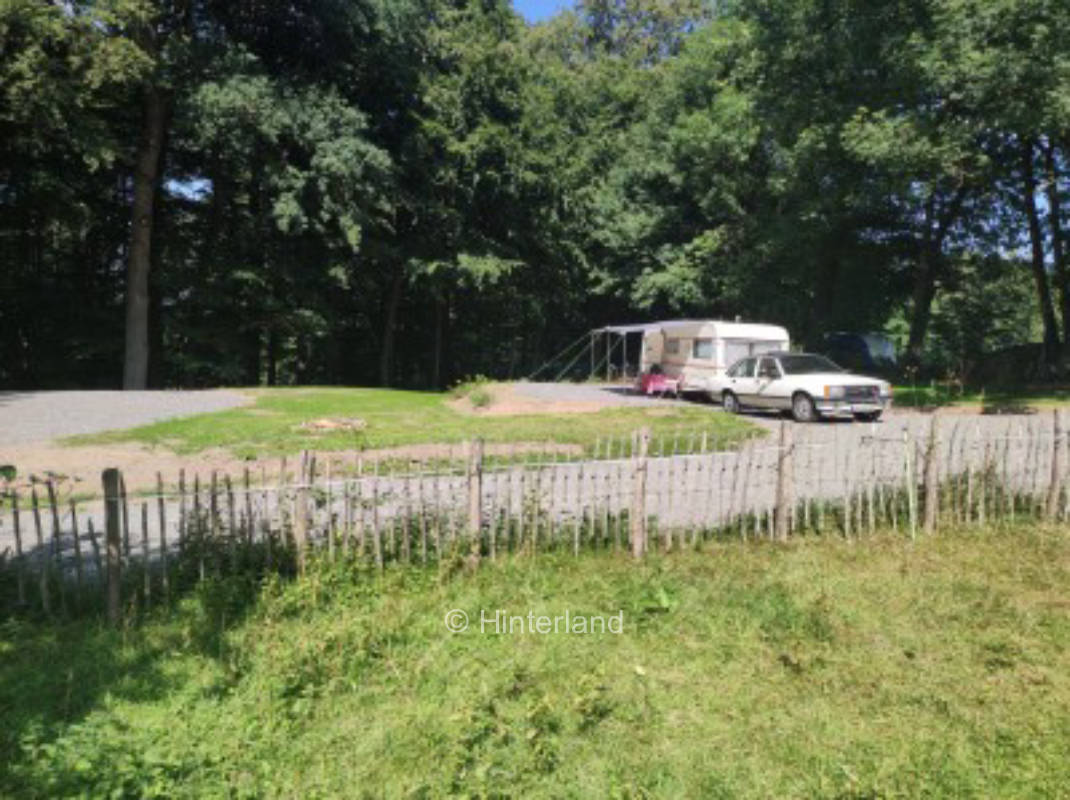 Natur pur bei den Sonnenpferden am Waldrand, privater Stellplatz