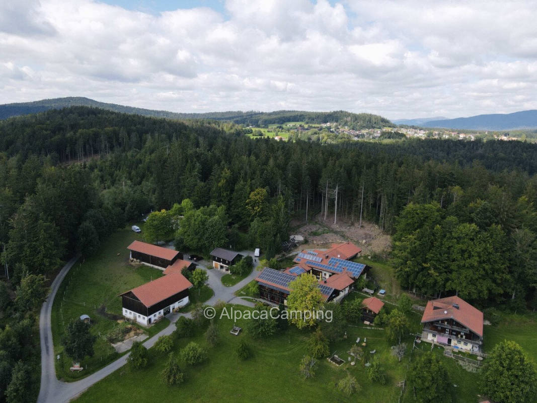 Surrounded by forest in beautiful natural location #1