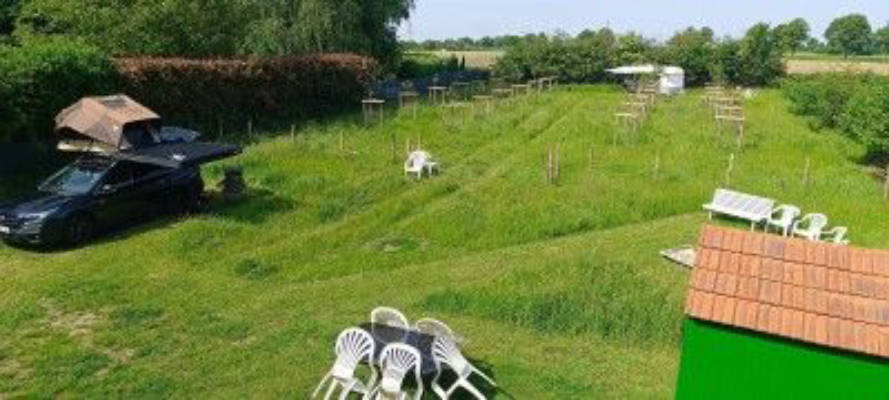 Camping spot in the orchard meadow
