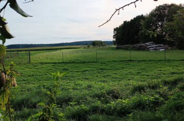 Eisenbahn trifft Land Romantik