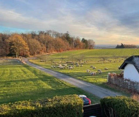 Camping on the outskirts of the picturesque Eifel