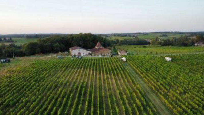 A place in the middle of the vineyards, near Bordeaux