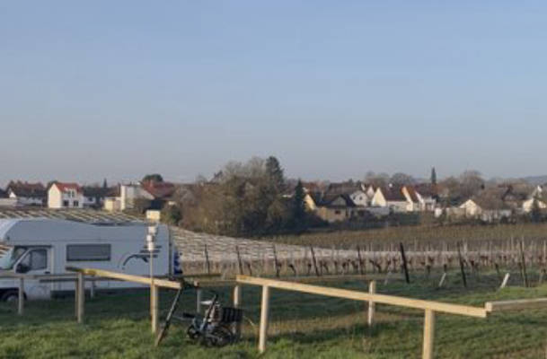 Camping am Weinhaus Pfaffmann Impflingen