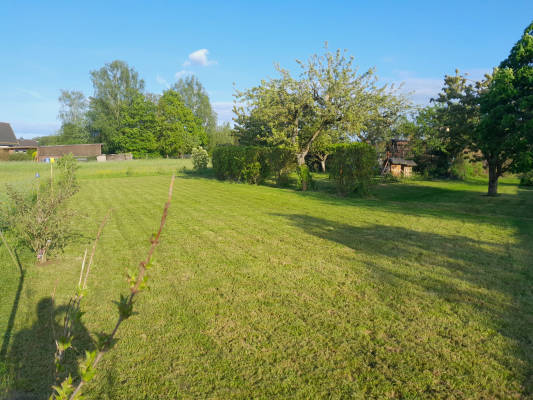 Obstgarten am dorfrand